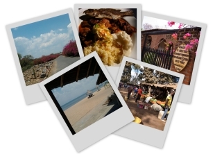 tourism